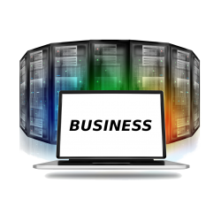 Webhosting-Paket: Business